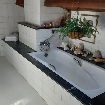 Homestay szállás Alfar *